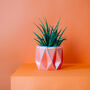 Origami Self Watering Eco Plant Pot: 18cm | Coral, thumbnail 1 of 5