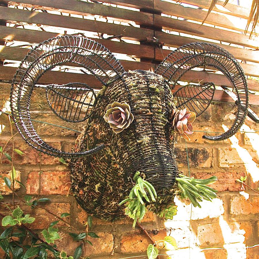 longhorn sheep garden wall art topiary head by london garden trading