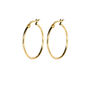 Everyday 14ct Gold Hoop Earrings, thumbnail 12 of 12