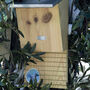 Handcrafted Bat Nesting Box – Fsc Pinewood Wooden, thumbnail 2 of 3
