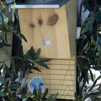 Handcrafted Bat Nesting Box – Fsc Pinewood Wooden, 2 of 3