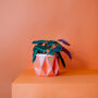 Origami Self Watering Eco Plant Pot: 15cm | Coral, thumbnail 2 of 7