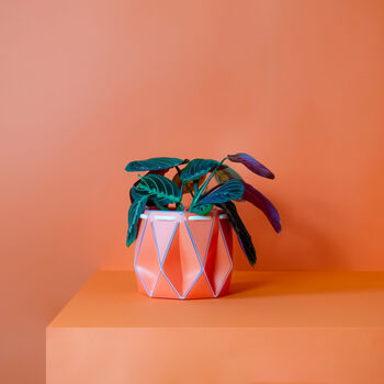 Origami Self Watering Eco Plant Pot: 15cm | Coral, 2 of 7