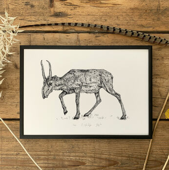 S Is For Saiga Antelope Illustration Print, 3 of 6