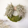 Statice And Moss Wreath, thumbnail 1 of 5
