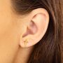 Prairie Star Stud Earrings, thumbnail 4 of 5