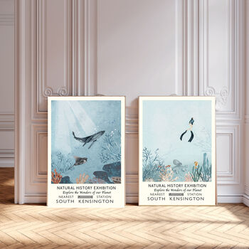 Set Of Two Natural History Museum Ocean Art Prints, 2 of 4