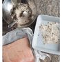 Bacon Cure And Smoke Kit, thumbnail 3 of 11