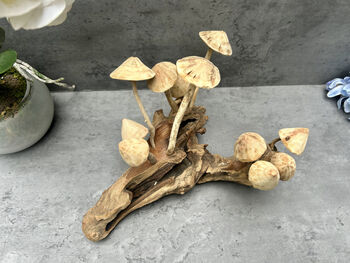 20cm Hand Carved Wooden Mushroom Figurine Coffee Root Wood, 7 of 12