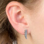 Feather Stainless Steel Earrings, thumbnail 1 of 4