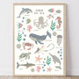 Under The Sea Fact Sheet Childrens Print, thumbnail 2 of 6