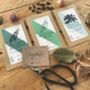 Literary Seeds: The Veggies Set Of Three Seed Packets, thumbnail 1 of 4