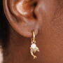 Stainless Steel Dolphin Charm Hoop Earrings, thumbnail 1 of 7