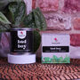 Candle Bad Boy Spices • Bergamot • Eucalyptus, thumbnail 1 of 4