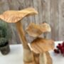Large Hand Carved Wooden Bali Mushroom Set, thumbnail 2 of 11