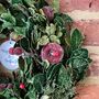 Personalised Festive Forest Wreath, thumbnail 5 of 6