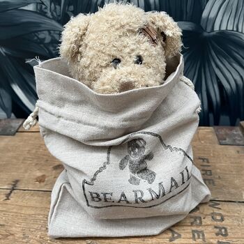 Personalised Teddy Bear In A Bag, 4 of 8