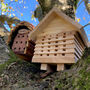 Busy Bee Hotel And Lucky Ladybird House Set, thumbnail 1 of 8