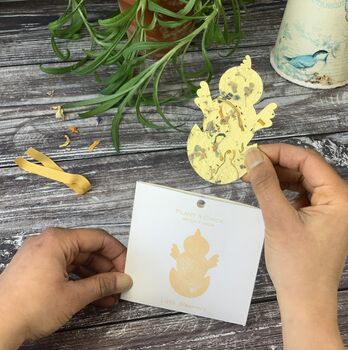 Plant A Chick Seed Paper Card, 2 of 5