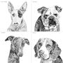 Set Of Four Dog Portrait Prints, thumbnail 5 of 12