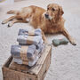 Christmas Dog Walker Socks – Perfect Gift For Dog Lovers, thumbnail 1 of 12