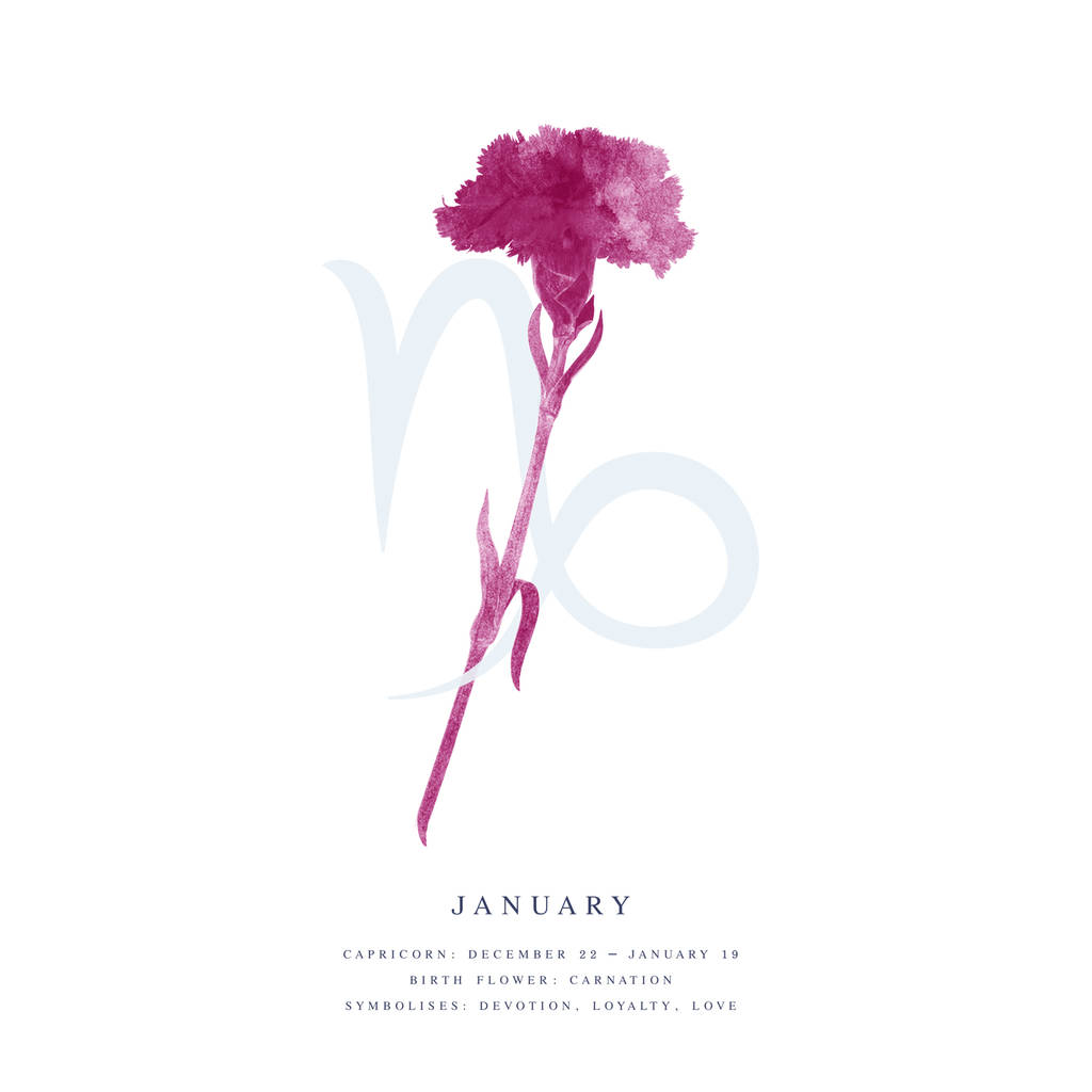 january birth flower star sign personalised print by st clair