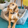 Luxury Neutral Fleeced Dog Bed, thumbnail 2 of 4