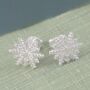 Snowflake Rose Gold Plated Silver Star Stud Earrings, thumbnail 5 of 9