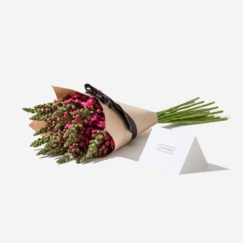 Magenta Snapdragon Fresh Bouquet, 3 of 4