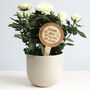 Thank You For Helping Me Shine Personalised Plant Marker, thumbnail 4 of 4