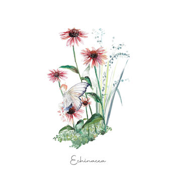 Echinacea Fairy Art Print, 2 of 2