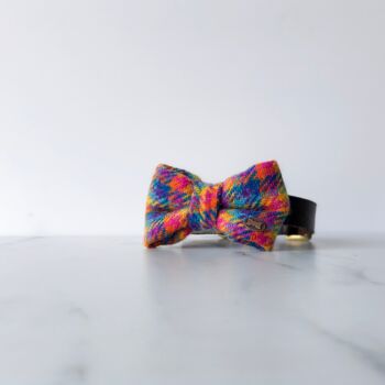 Rainbow Harris Tweed Dog Bow Tie, 4 of 6