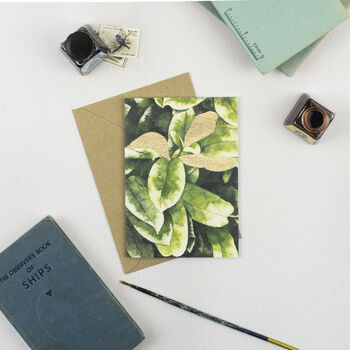 Botanical Art Card Pack Of Six, 7 of 10
