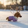 Handmade Felt Rudy The Dachshund Dog Decoration, thumbnail 1 of 2