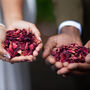 Burgundy Dried Rose Petals Wedding Confetti, thumbnail 1 of 2