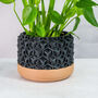 Carbon Transform Planter, thumbnail 1 of 4