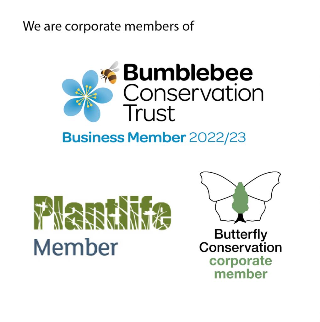 Pack Of 20 Personalised Butterfly Wedding Favours By Bee Friendly Seeds