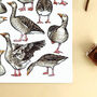 Gaggle Of Geese Watercolour Illustrated Postcard, thumbnail 4 of 8