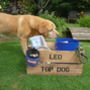 Personalised Crate For Dogs, thumbnail 1 of 5