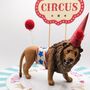 Personalised Circus Lion Cake Topper, thumbnail 1 of 5