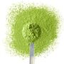 'One Cup Of Happiness' Perfect Matcha Spoon, thumbnail 3 of 3