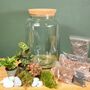 Large Diy Terrarium Kit With Three Plants Plant Gift, thumbnail 1 of 10
