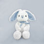 Welcome Baby Balloons With Little Blue Bunny Gift, thumbnail 2 of 4