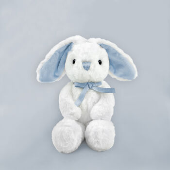 Welcome Baby Balloons With Little Blue Bunny Gift, 2 of 4
