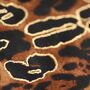 Personalised Leopard Spot Gold Foil Print Scarf, thumbnail 7 of 12
