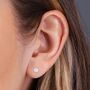 Swarovski Crystal Stud Earrings, thumbnail 5 of 10