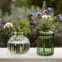 Grow Your Own Wildflower Bouquet And Vase Gift Set, thumbnail 10 of 12