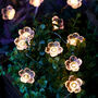Cherry Blossom Solar Fairy Lights, thumbnail 1 of 2