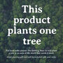 Personalised House Plants Special Date Print, thumbnail 4 of 4