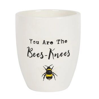 You Are The Bees Knees Ceramic Planter, 2 of 2